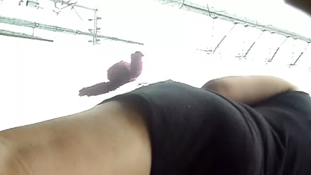 Helena taquine en bas un soutien-gorge et des talons marc dorcel streaming vf